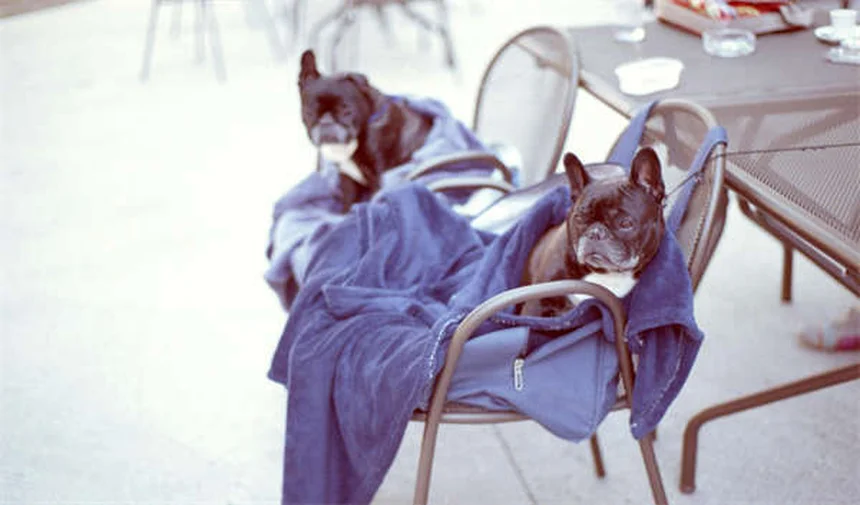 2026 BMW i4 Updates: More Range & Power Revealed